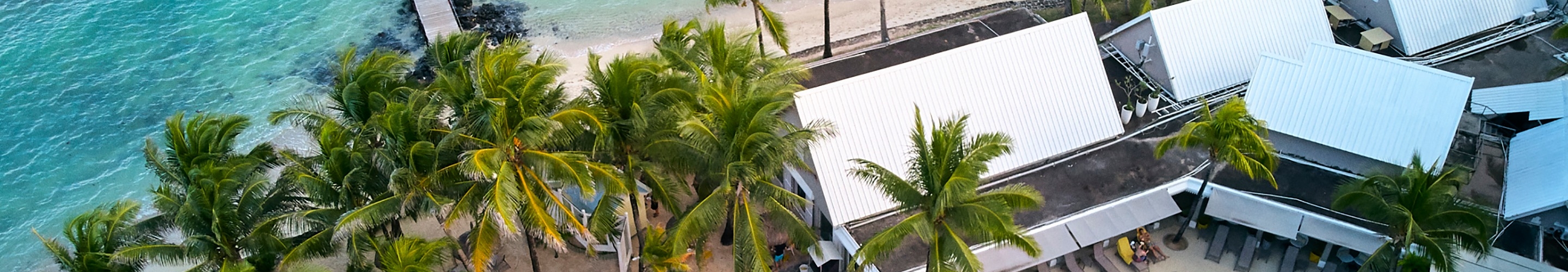 Tropical Attitude (Adults-only)